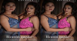 Room Mate Malayalam Lesbian Meet LavaOTT Apps