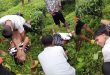 Teen Gf Outdoor Caught Group Sex – Outdoor Group Sex