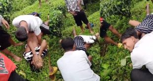Teen Gf Outdoor Caught Group Sex – Outdoor Group Sex